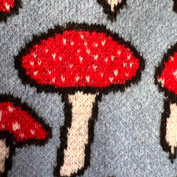 NWT Magic Mushroom Zara Knit Sweater Sold Out ππ - Picture 2 of 6